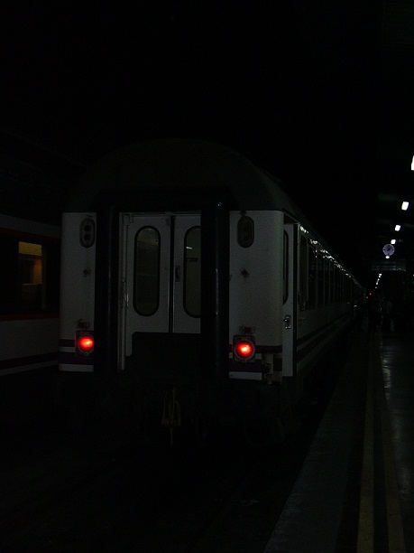 Tren de la Gacha 2011 (29) - copia.jpg